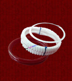 Shakha Pola & Loha Set - 10APO813