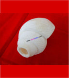 Shankha - 40EPET002